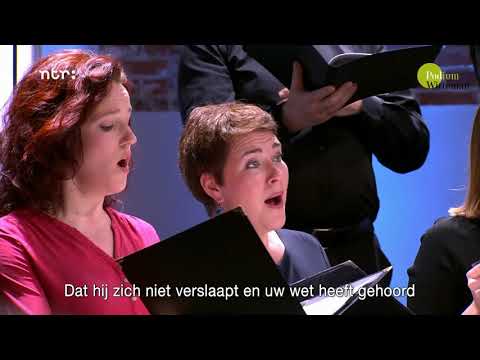Cappella Amsterdam o.l.v. Daniël Reuss - Cantique de Jean Racine - Fauré | Podium Witteman