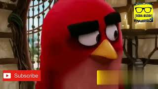 NEW TAMIL COMEDY ANGRY BIRD WHATSAPP STATUS