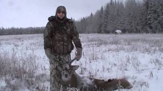 preview picture of video 'Guided Alberta resident hunt with Bluesky Outfitting McLennan Alberta'