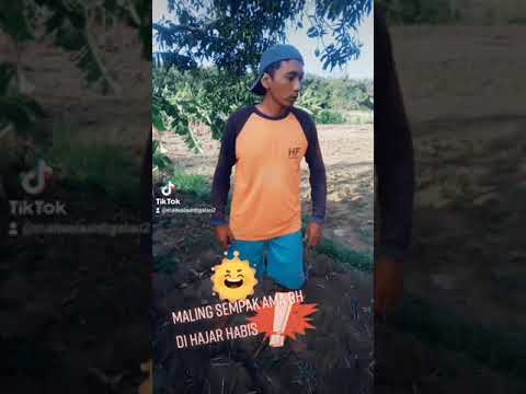 komedi-kocak-maling-celana-dalam