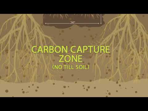 Braga Fresh Regenerative Farming 101