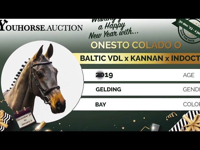 Onesto Colado O@ the show