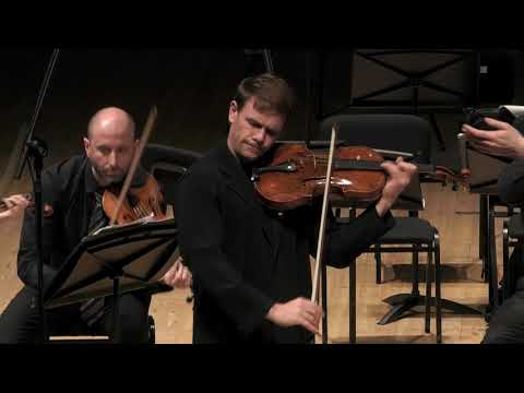 Franz Schubert/ “Arpeggione” Sonata, D. 821, arr. for viola and string orchestra by Zeev Steinberg