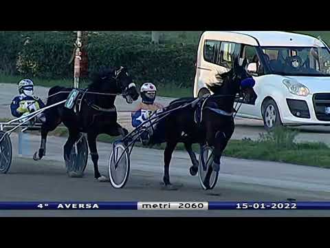 Aversa trotto 15 Gennaio 2022 - 4° Corsa