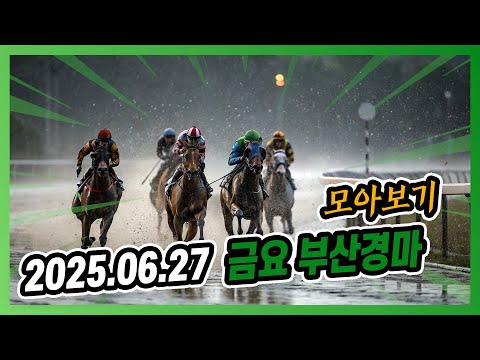 2025년 6월 27일 금요 부산경마 전체경주 모아보기
