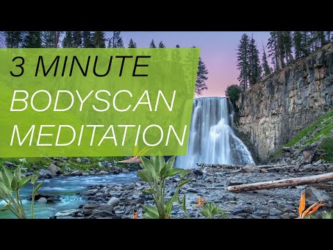 3 Minute Body Scan | Short Guided Meditation