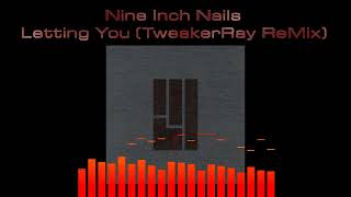 Nine Inch Nails - Letting you (TweakerRay ReMix)