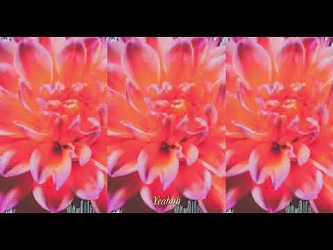 Miniatura de Cologne Song