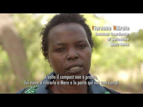 Io ci metto la faccia ! Un viaggio con i Bio-agricoltori: Meru Herbs – Kenia