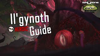 Il'Gynoth Guide (LFR / Normal / HEROIC) - Smaragdgrüner Alptraum / Emerald Nightmare