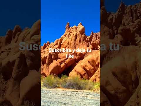 Seclantas Salta