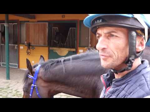 Vorschau auf das IDEE 148. Deutsches Derby 2017