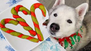 Making Minty Candy Cane Treats for My Dogs 🎄 DIY Christmas Dog Treats