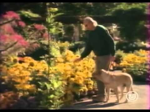 Сериал Отважные / Les Intrépides s1e03 (Rus)