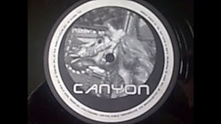 Canyon - Cosmos