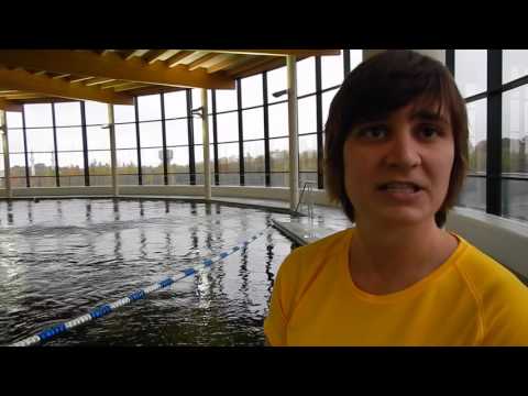 download lagu mp3 mp4 Indoor Duiken Beringen, download lagu Indoor Duiken Beringen gratis, unduh video klip Download Indoor Duiken Beringen Mp3 dan Mp4 Popular Gratis