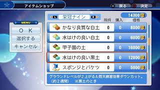 絶対に負けられない夏