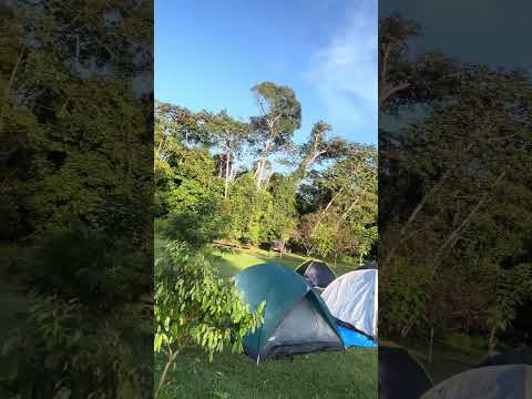 #desafiodepesca #fishing #matogrosso #juruena #pescaria