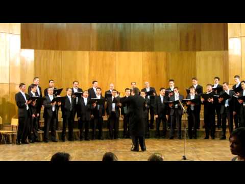 Corul barbatesc Constanta - Din radacina vie