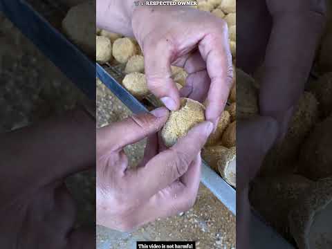 Grandfather ate a poisonous egg🥚#shortvideo #viralvideo