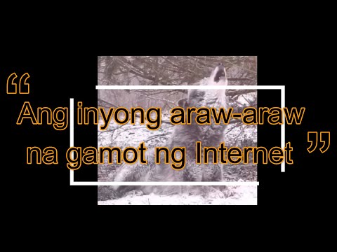 , title : 'Ang inyong araw-araw na gamot ng Internet 07182021