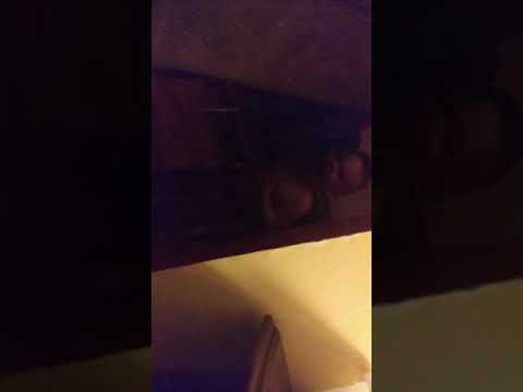 Daddy gets little hunter to laugh so hard