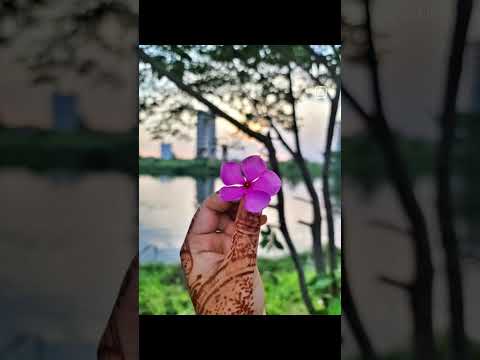 Living for the moments that take your breath away."☘️#azra #shorts #flowers 💐