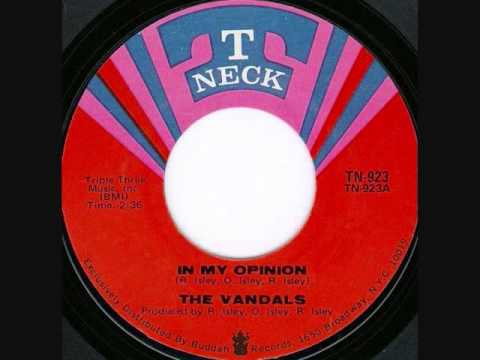 In My Opinion - The Vandals