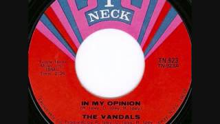 In My Opinion - The Vandals