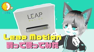 【むつきラボ】Leap Motion使ってみた