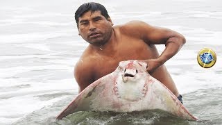 Pescador libera Animal Grande que quedó atrapado en su red