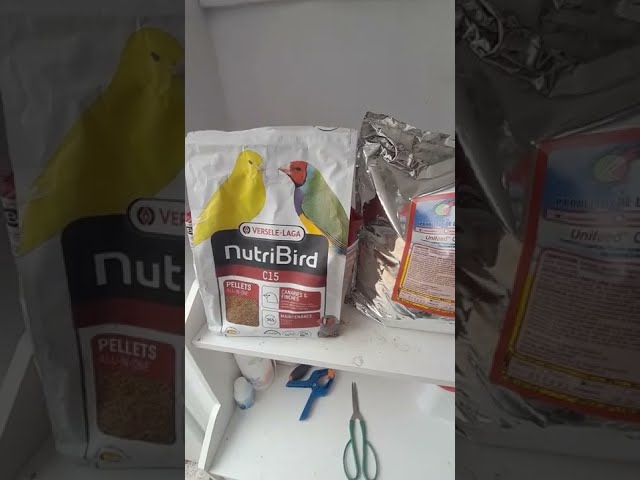 Vídeo relacionado con Versele-laga - Pienso para Loros NUTRIBIRD P15 Original 3 kg