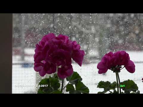 DIEGO-ÁLVARO 3-3-2O17