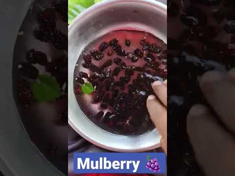 mulberry Shetuk 😋 very sweet fruit 🍓