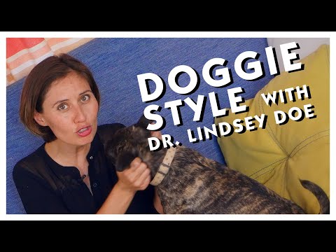 Doggie Style: What I’ve Learned from Dogs about Sex