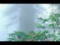 GREEN CARNATION - Lullaby in Winter 