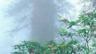 Bài hát Lullaby In Winter - Nghệ sĩ trình bày Green Carnation