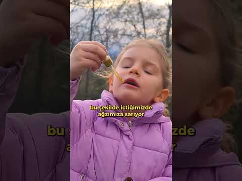 En iyi doğal antibiyotik evde çare