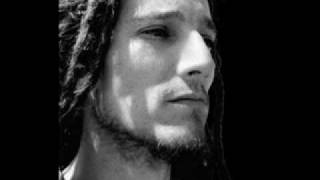 Monsieur Lézard - Pas Un Exemple