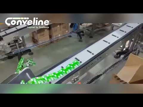 Modular Conveyor System