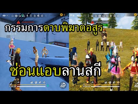 ฟีฟาย