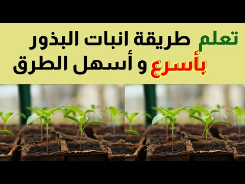 , title : 'أسهل الطرق في انبات البذور و كيف نحفز البذرة على نمو سريع'