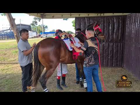CORRIDA DE CAVALOS - 43º ANIVERSARIO DO MUNICÍPIO DE BONFIM - RORAIMA 2025 PART. 1
