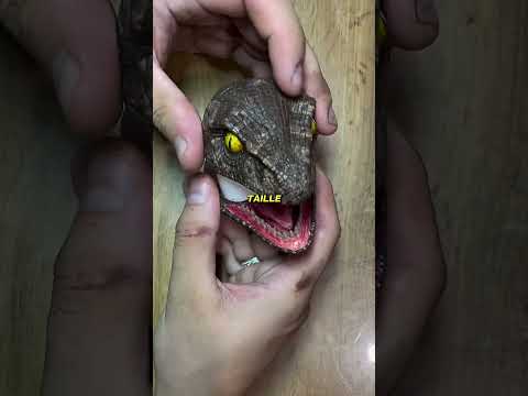 Il transforme accidentellement un dinosaure cassé en étui pour écouteurs
