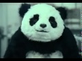 [TOP 5] Never say no to panda! [with subtitles ...