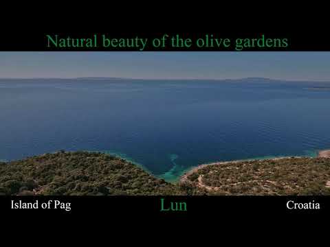 Vrtovi lunjskih maslina - Natural beauty of the Olive Gardens of Lun