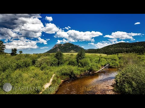 Guided Meditation — Attending to the Essential