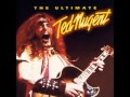 Stormtroopin - Ted Nugent (High Quality)