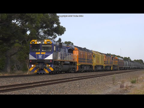 Australian Intermodal & Grain Services between Adelaide & Melbourne - Daylight Trains in SA's East
