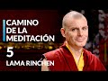🎯Lama Rinchen Gyaltsen  | Abraza el Equilibrio con la Meditación Samatha